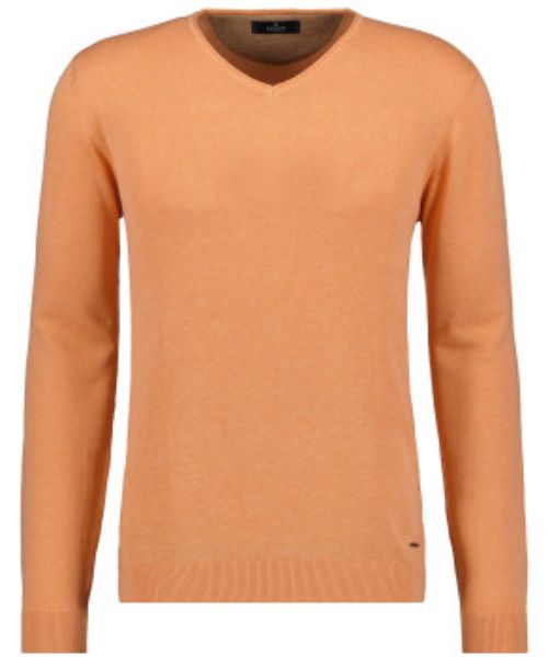 Agrandir l'image de Tall Homme Coton Pul Maille Fine Col V Image de Tall Homme Coton Pul Maille Fine Col V