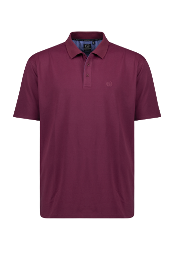 Image de Tall Peer Poloshirt Fonctionnel - jusqu'à la taille 5XLT